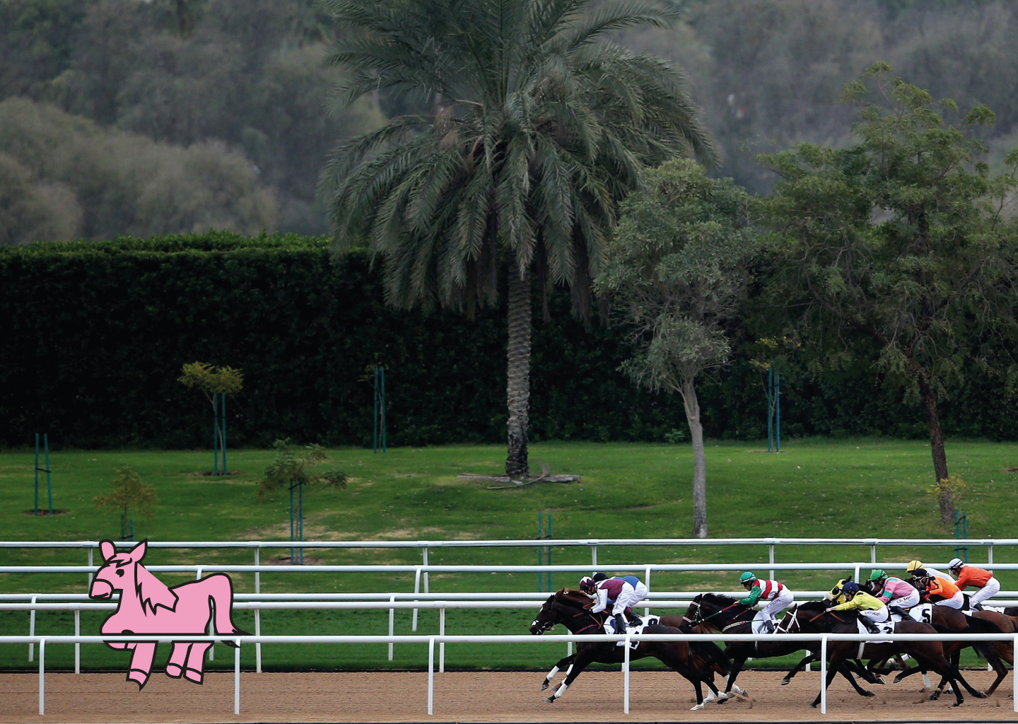 Racehorse Pablo Artwork 1