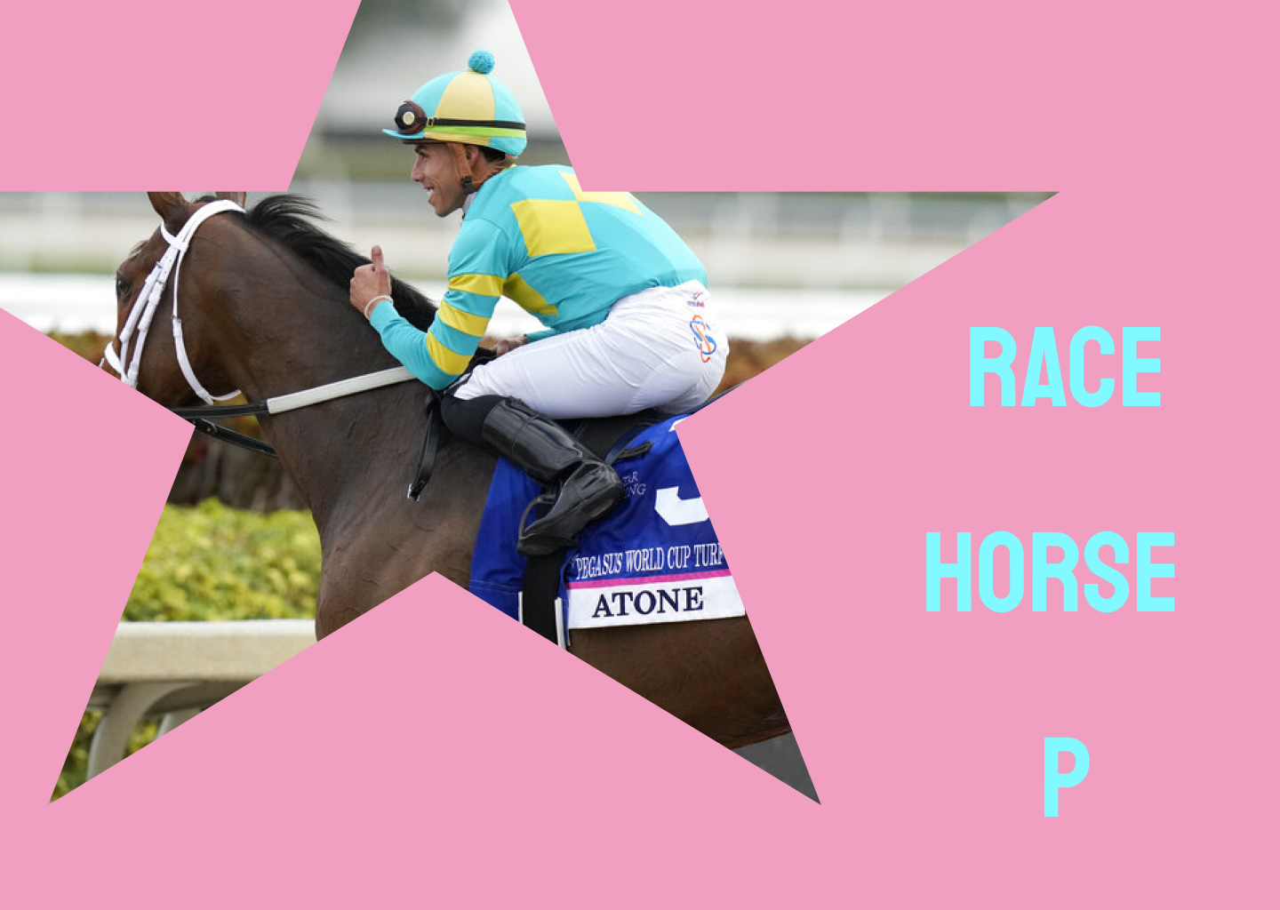 Racehorse Pablo Artwork 2